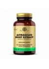 Astragalus Root Extract 60 Kapsül
