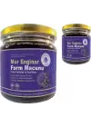 AYVALIK MOR ENGİNAR MACUNU 2 ADET 240 GR MACUN FORM