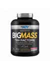 Big Mass +GH Factors Çilek 3000 Gr