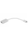 Dark USB 3.1 Type C - DP Dönüştürücü DK AC U31XDP