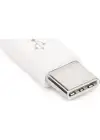 Dark USB Type C Erkek Micro Usb Dişi Çevirici