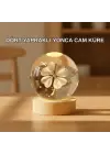 DÖRT YAPRAKLI KÜRE
