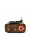 Everton RT-1317bt Bluetooth Usb-Micro Plak Radyo