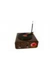 Everton RT-1317bt Bluetooth Usb-Micro Plak Radyo