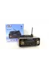 Everton RT-1320 Bluetooth Usb-Micro Plak Radyo