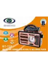 Everton RT-737 Bluetooth Usb-Micro Sd Solarlı Saatli Nostaljik Radyo
