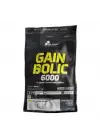 Gain Bolic 6000 Çilek 1000 Gr