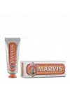Ginger Mint Diş Macunu 25 ml