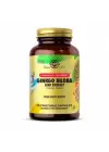Ginkgo Biloba Leaf Extract 60 Kapsül