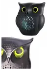 GROMOFON GÖRÜNÜMLÜ HOPARLÖR