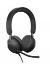 Jabra Evolve2 40 Usb C-A Ms Stereo Kulaklık