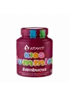 Kids Sambucus Gummies 60 Adet