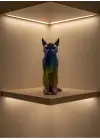 KOYU RAİNBOW KEDİ