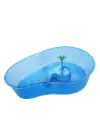 Aquawave Küçük Kaplumbağa Bahçesi