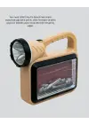 LED Solar Alev Işığı