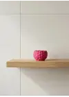 MİNİ SAKSI MOR