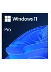 MS WINDOWS 11 PRO 32/64 BIT TR KUTU USB HAV-00159