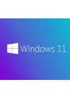 MS WINDOWS 11 PRO 64 BIT INGILIZCE OEM FQC-10528
