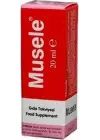 MUSELE DAMLA