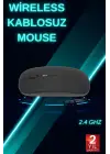 PG-908 MOUSE