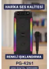 PG4261 HOPARLÖR