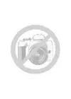 Ricoh DX 2430 B4 Orjinal Master