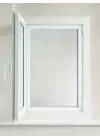 TEK KANATLI SİNEKLİK