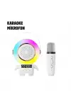TK-66 KARAOKE SPEAKER