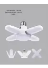 VM60 LED AMPÜL