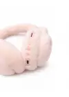 WBK861 PEMBE