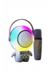 XM-X66 KARAOKE MİKROFON