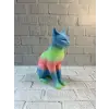 AÇIK RAİNBOW KEDİ