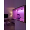 EL İNSAN FİGÜRÜ MOR