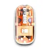 PG-9010 MOUSE FARE