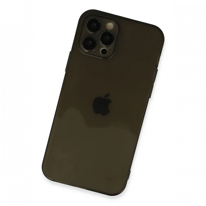 Apple iPhone 12 Pro Max Kılıf Fly Lens Silikon - Siyah