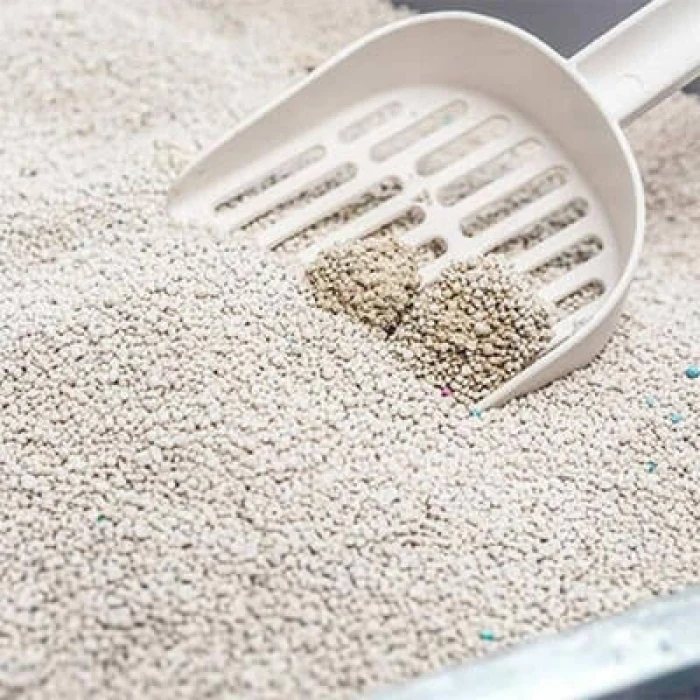 Handy Jumbo Kedi Kum Küreği ve Kürek Taşıma Aparatı