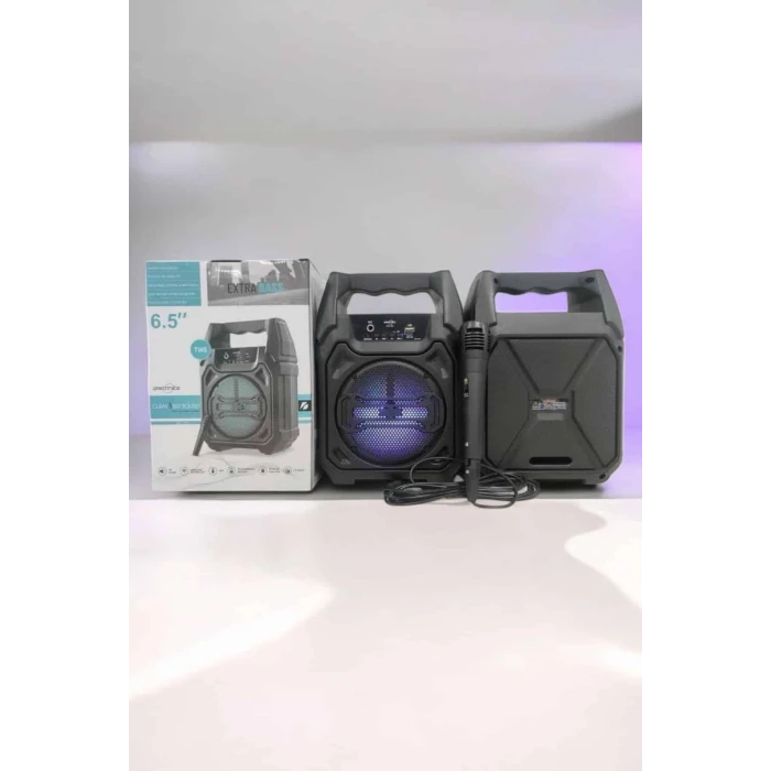 Kablosuz 6.5 İnç TWS Bluetooth Hoparlör