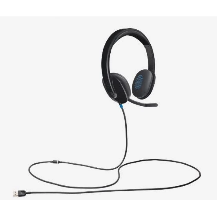 H540 USB SİYAH KULAKLIK 981-000480