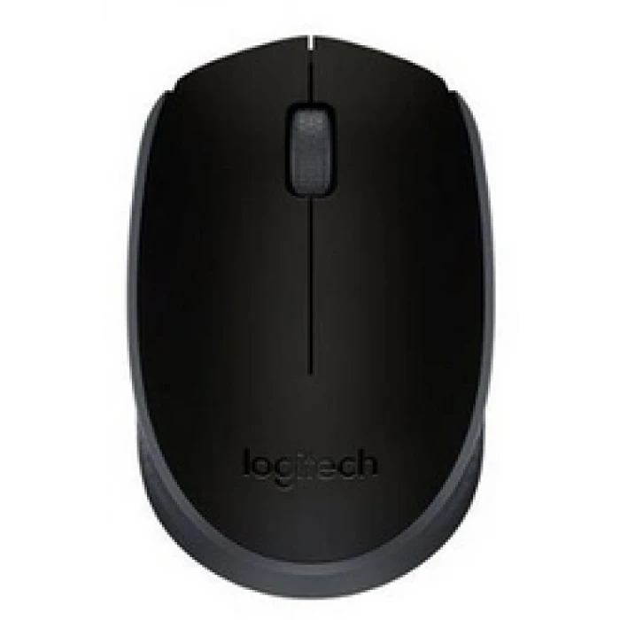 KABLOSUZ USB MOUSE SİYAH 910-004424