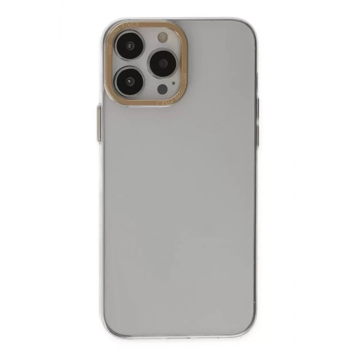 Newface Apple iPhone 13 Pro Kılıf Anka PC Sert Metal Kapak - Şeffaf