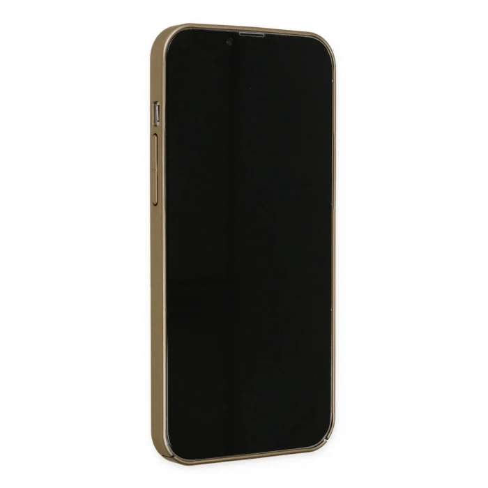 Newface Apple iPhone 13 Pro Kılıf Jack Magneticsafe Lens Silikon - Gold