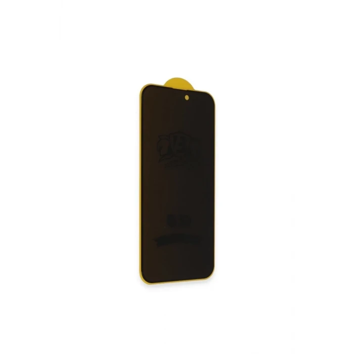 Newface Apple iPhone 16 Pro Bilvis 3D Radian Hayalet Cam Ekran Koruyucu