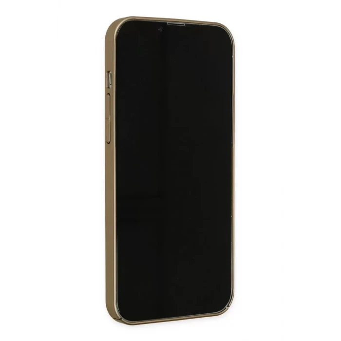 Newface Apple iPhone 13 Pro Kılıf Jack Magneticsafe Lens Silikon - Gold