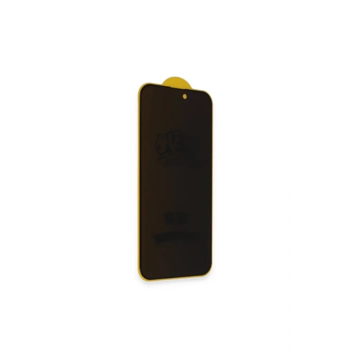 Newface Apple iPhone 16 Pro Bilvis 3D Radian Hayalet Cam Ekran Koruyucu