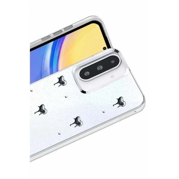 Newface Samsung Galaxy A36 Fiyonk Desenli Kapak - Desen 1