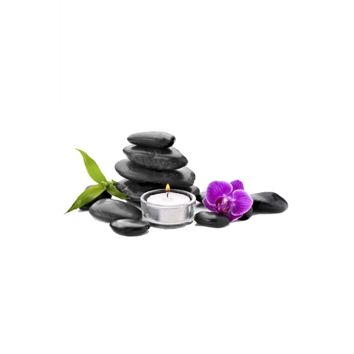 Playboy Massage Oil 50ml Aromasız Masaj Yağı 2 Adet