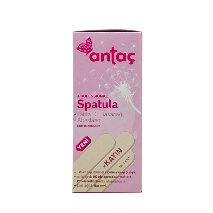 Spatula 100 Adet