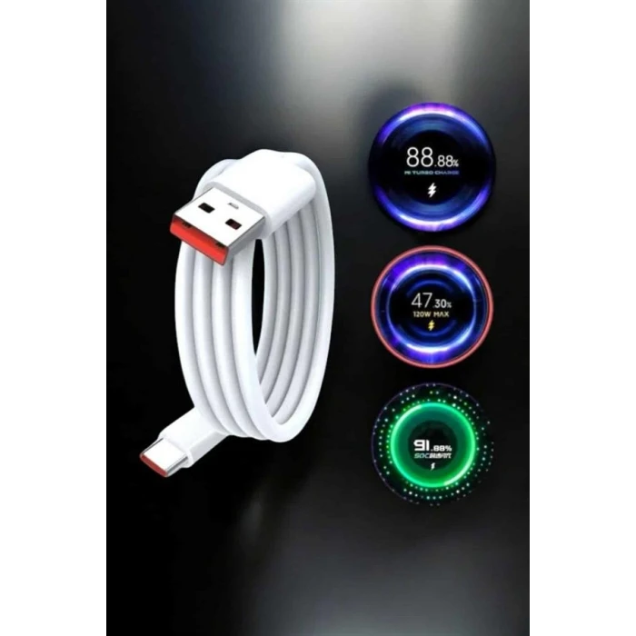Type-C 120W Şarj Aleti Hızlı Şarj Turbo Yeni Nesil