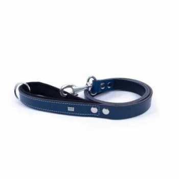 Konfor Klasik Deri Köpek Gezdirme Tasması Royalblue 3x100 Cm