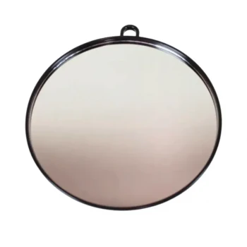 Profesyonel Oval El Aynası